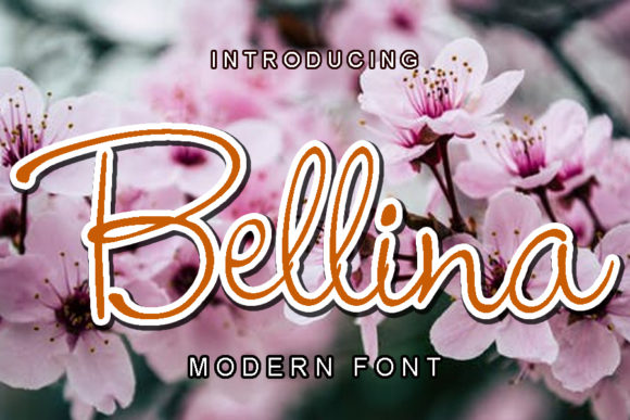 Bellina Script Handwritten Font for Wedding Invitations & Branding